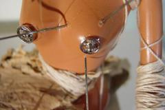 Neighboring Tissue and Wired Localization (detail)
