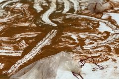 Synchronization between the Moon and Sacred. Residuals